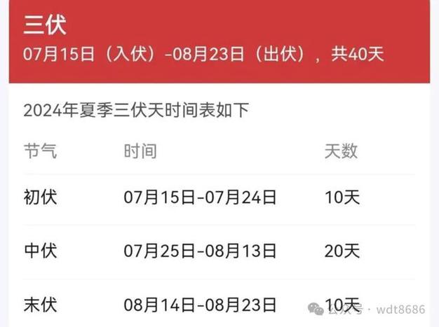 三伏天持续多久的「三伏天总共40天」 股市新闻